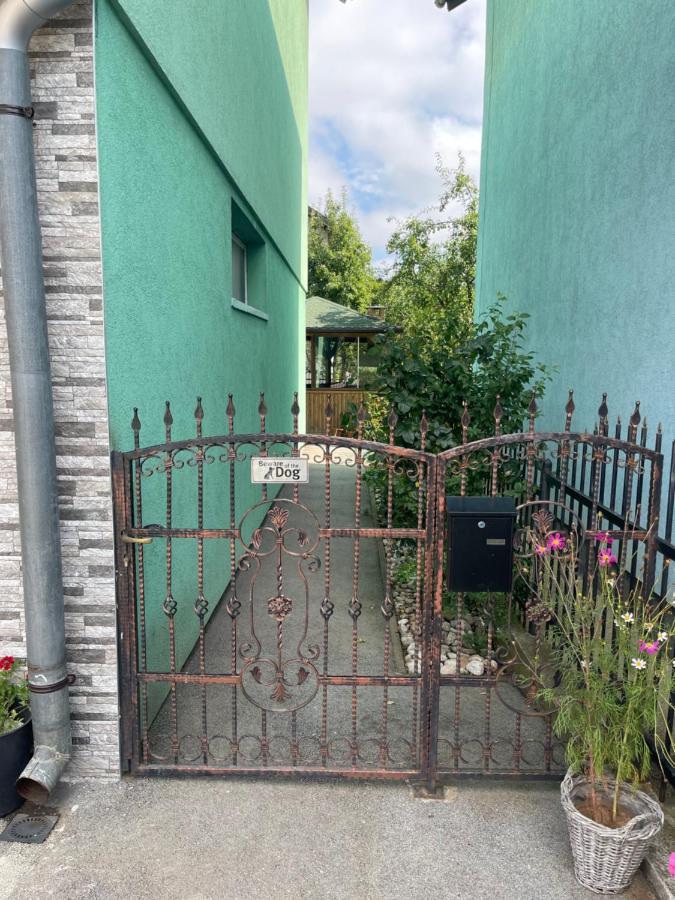 Apartment Rea Ilidza 2 Saraybosna Dış mekan fotoğraf